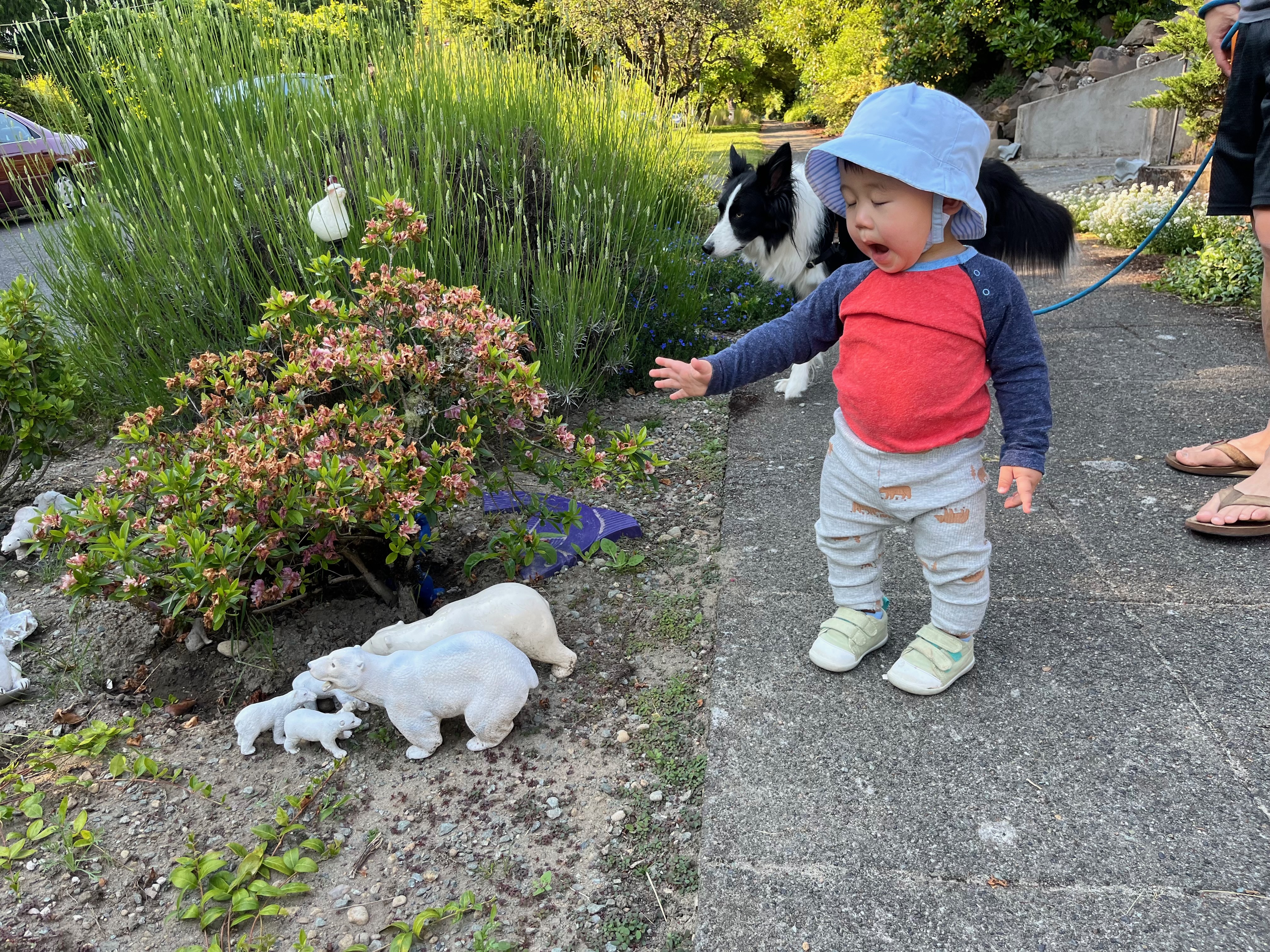 Jacob in a polar bear outfit